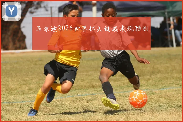 马尔迪2026世界杯关键战表现预测