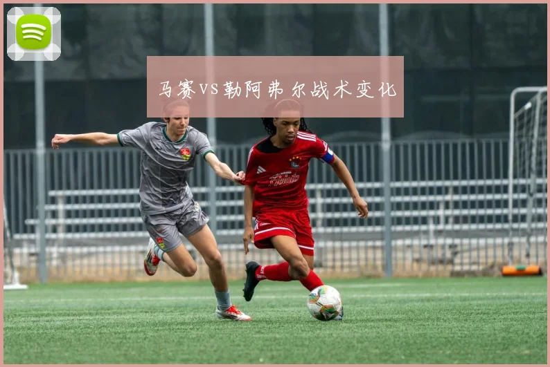 马赛vs勒阿弗尔战术变化