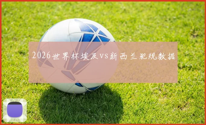 2026世界杯埃及vs新西兰犯规数据